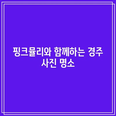 첨성대 핑크뮬리와 경주 가을 여행 명소