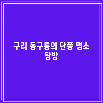 경기도 가을 여행지 추천: 구리 동구릉 단풍 주차