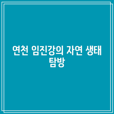 연천 임진강 댑싸리공원에서 즐기는 가을 산책