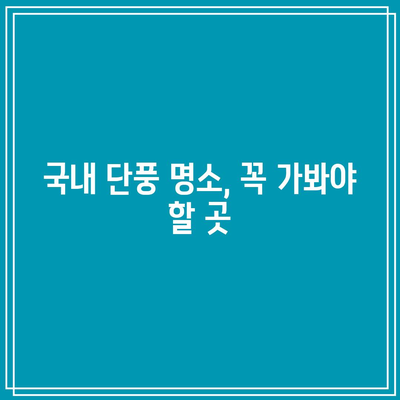 가을 단풍 시기와 명소, 국내에서 단풍을 감상하는 안내서