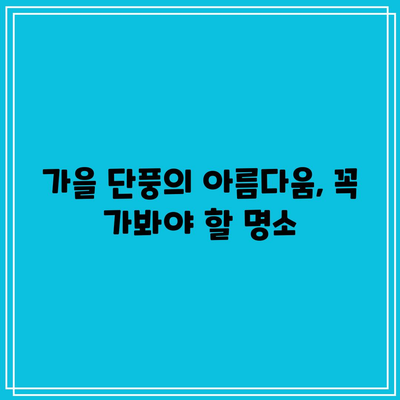 국내 가을 여행지 5선 추천