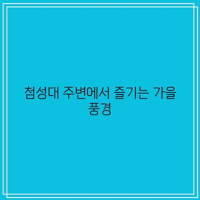 경주 가을 여행지: 첨성대 핑크뮬리