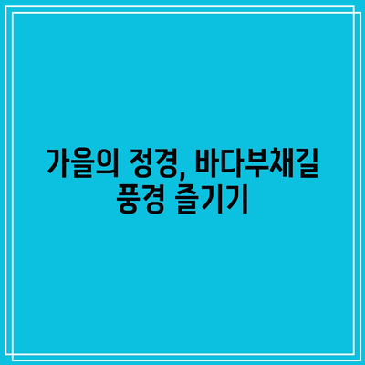 강원도 강릉 가볼 만한 곳: 가을 여행지 추천, 정동심곡 바다부채길