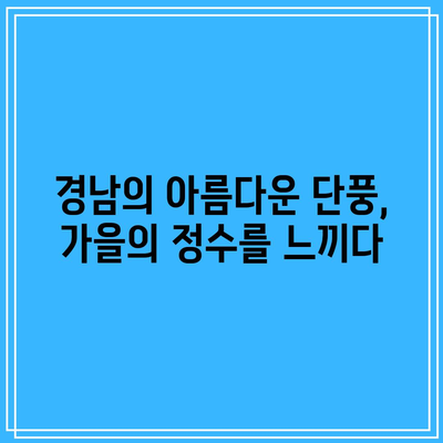 경남 가을 여행 가이드: 가을 경남에서 놓치지 말아야 할 5곳