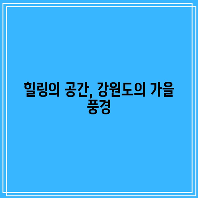 가을 국내 여행지 추천 TOP3