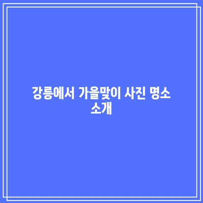 호린파크에서 가을의 매력 즐기기: 강릉 추천 여행 코스