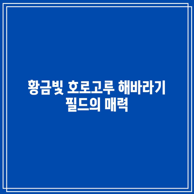 경기도 가을 여행: 호로고루 해바라기 명소