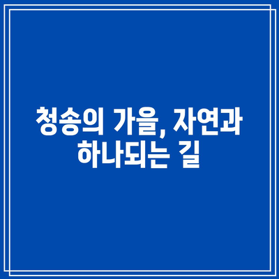 청송 가을 여행 코스: 가을 경관에 빠져들기