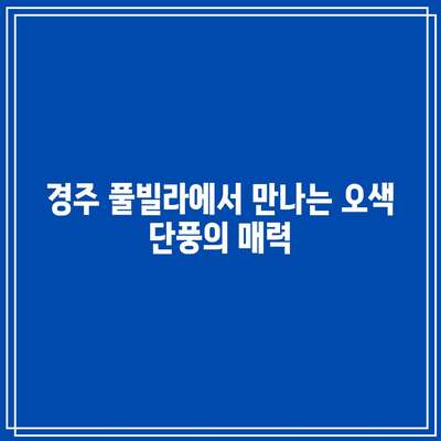 경주 풀빌라에서 고급스러운 가을 리프 경험