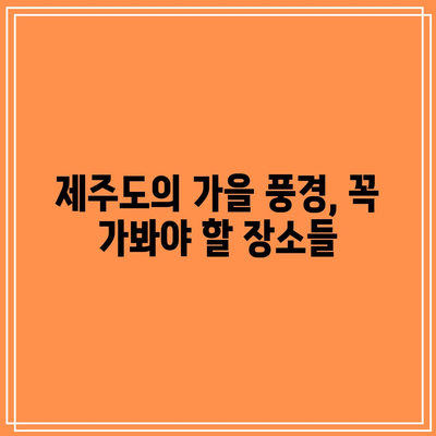 11월 제주 여행 추천 갈만한 가을 여행지