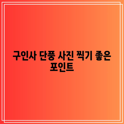 단양 가을 단풍 여행지: 보발재와 구인사 살펴보기