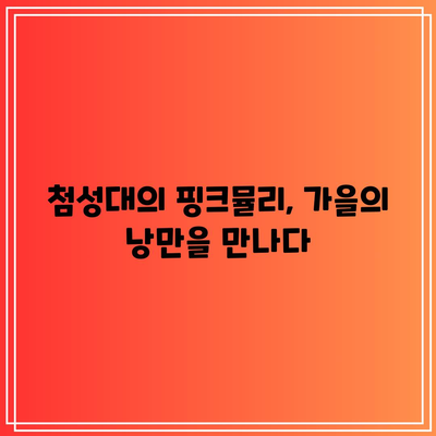 경주 가을 여행지: 첨성대 핑크뮬리