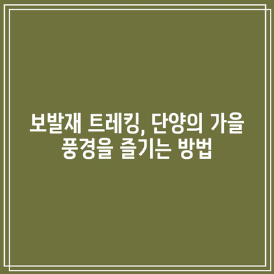 단양 가을 리프 페스티벌: 보발재와 구인사