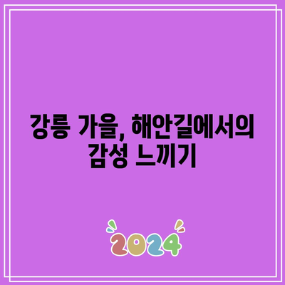 강원도 강릉 가을 여행지: 정동심곡과 해안길