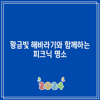 연천에서 만날 수 있는 황금빛 해바라기