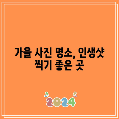 가을 풍경 구경하기 좋은 국내 여행지 베스트