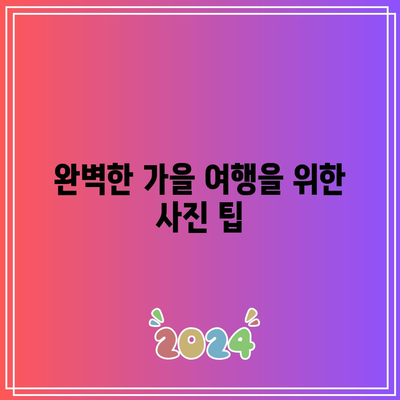 가을 여행의 꽃밭 포토존 스팟