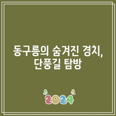 경기도 가을 여행지: 구리 동구릉 단풍