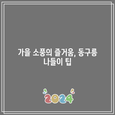 경기도 가을 여행지: 구리 동구릉 단풍