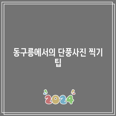 경기도 가을 여행지: 동구릉 단풍주차