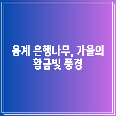 경북 가을 여행지: 용계의 은행나무와 안동의 명소