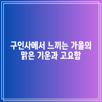 단양 가을 리프 페스티벌: 보발재와 구인사