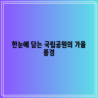 가을의 낙엽 여행: 국내 추천 여행지 TOP 5