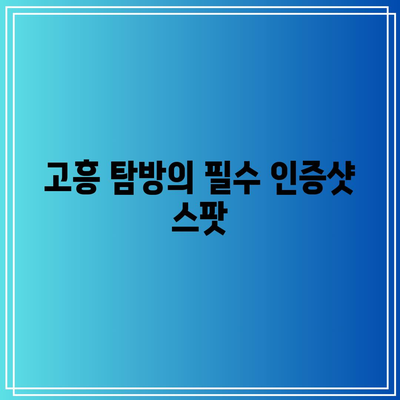 가을 고흥 탐험: 유자 축제와 명소 탐방