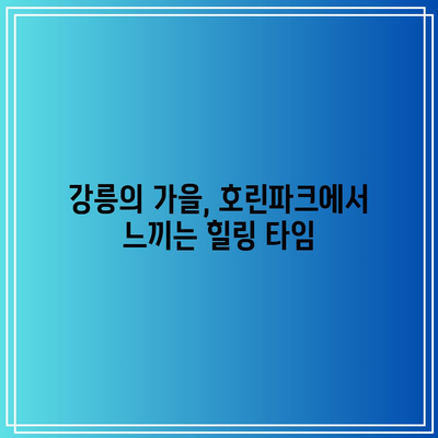 호린파크에서 강릉의 가을을 만끽하세요