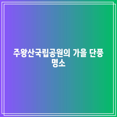 경북 청송의 가을 색감: 송소고택, 백일홍 축제, 주왕산국립공원