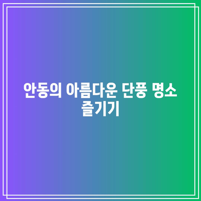 가을 경상북도 여행: 안동의 은행나무와 역사적 명소