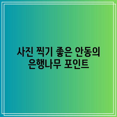 안동 가을 여행지로 가볼 만한 은행나무 명소