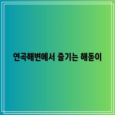 호린파크부터 연곡해변까지: 강릉 가을 여행 코스