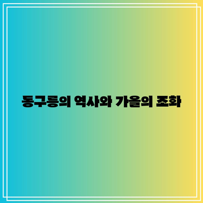 구리 동구릉에서 가을 리프 명소 둘러보기