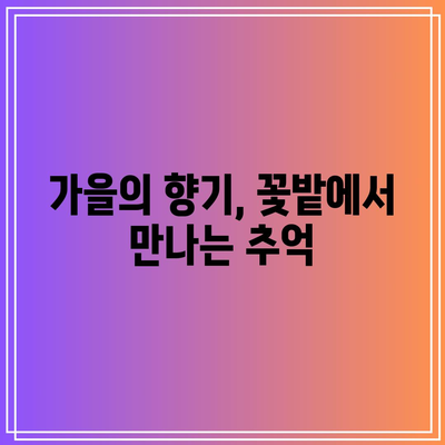 가을 여행지 꽃밭 포토존 스팟 추천