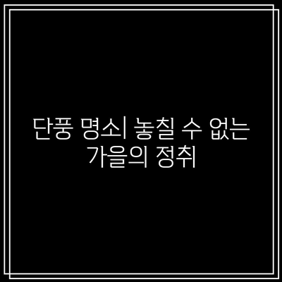 가을이 물든 국내 여행지: 가보면 놓칠 수 없는 곳