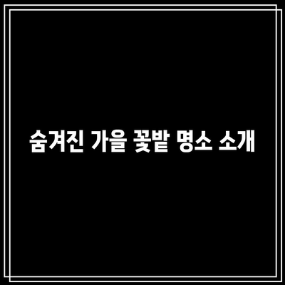 가을 꽃밭 포토존 추천 여행지