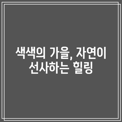 강릉에서 색색으로 물드는 가을, 정동심곡과 바다부채길