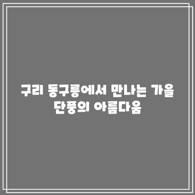 구리 동구릉 단풍 주차: 가을 여행지 추천