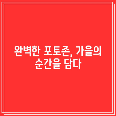 꽃밭 포토존 속 가을 여행, 잊지 못할 추억을 남기자