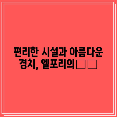 경북 글램핑과 오토캠핑의 천국: 엘포리