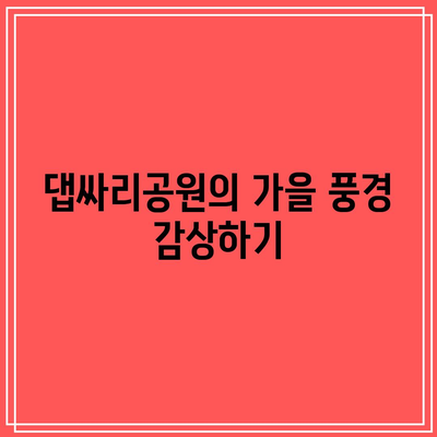 연천 임진강 댑싸리공원에서 즐기는 가을 산책