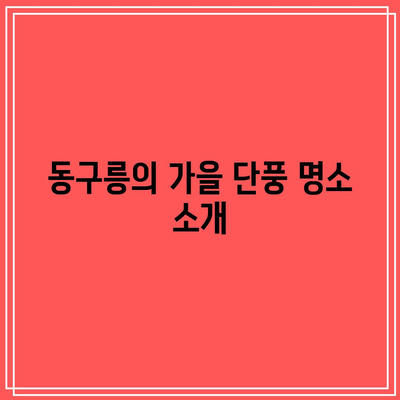 경기도 가을 여행지: 동구릉 단풍 주차 안내