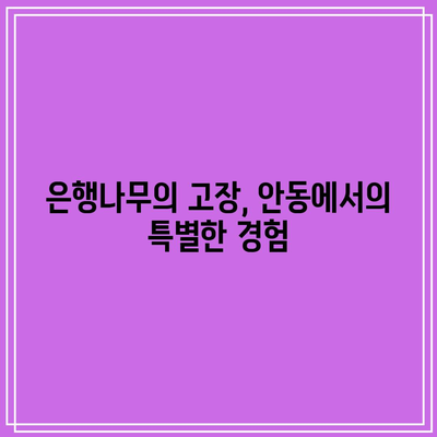 안동 가을 여행지로 가볼 만한 은행나무 명소