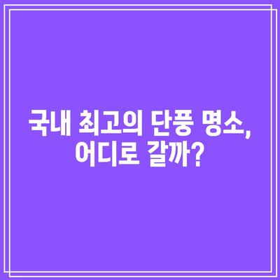 가을 단풍의 화려한 쇼: 국내 단풍 명소와 관람 시기