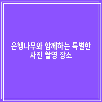 가을 경상북도 여행: 안동의 은행나무와 역사적 명소