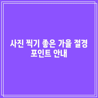 국내 가을이면 놓치지 마세요! 절경 5선