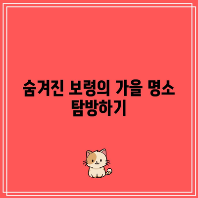 보령 가을 여행: 놓치지 마세요!