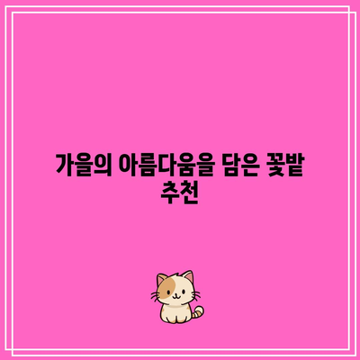 가을 꽃밭 포토존 추천 여행지