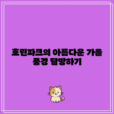 호린파크에서 가을의 매력 즐기기: 강릉 추천 여행 코스